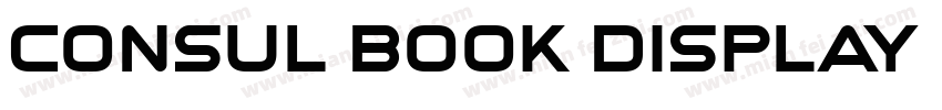Consul Book Display字体转换